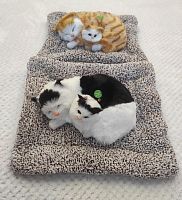 "Кошка с котенком" во Реже